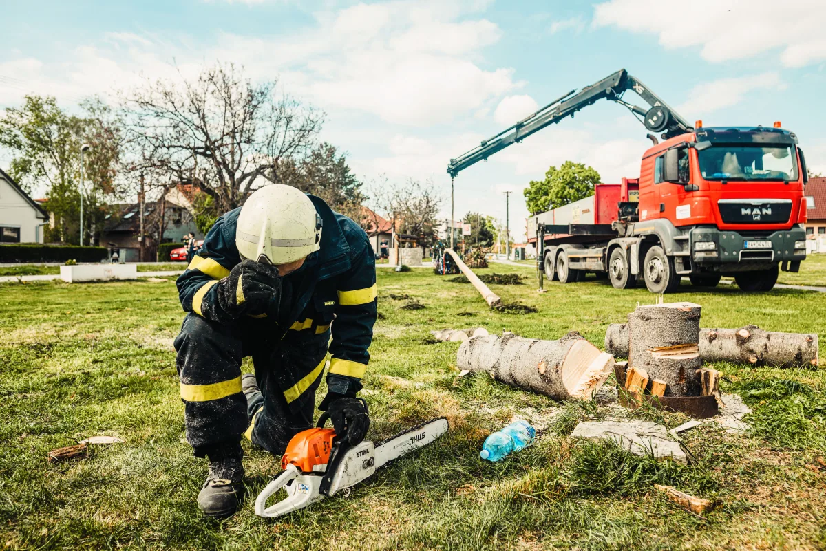 Crane Assisted Tree Removal in Baton Rouge, Louisiana