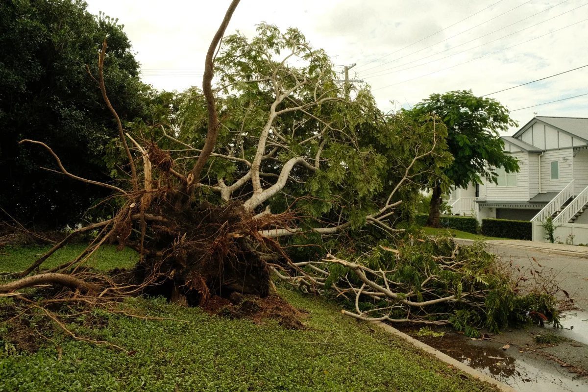Emergency Storm Cleanup in Baton Rouge, Louisiana